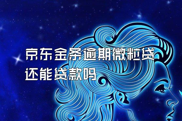 京东金条逾期微粒贷还能贷款吗