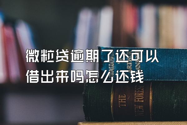 微粒贷逾期了还可以借出来吗怎么还钱