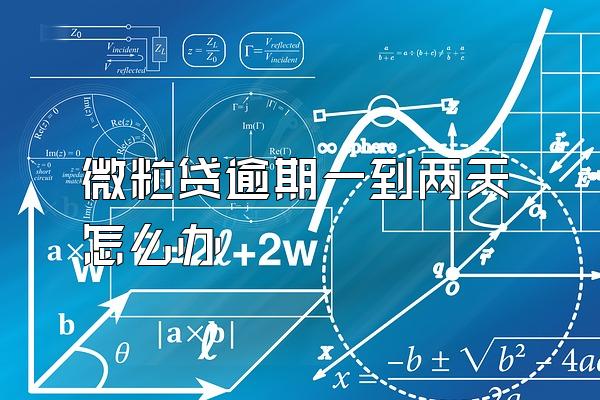 微粒贷逾期一到两天怎么办