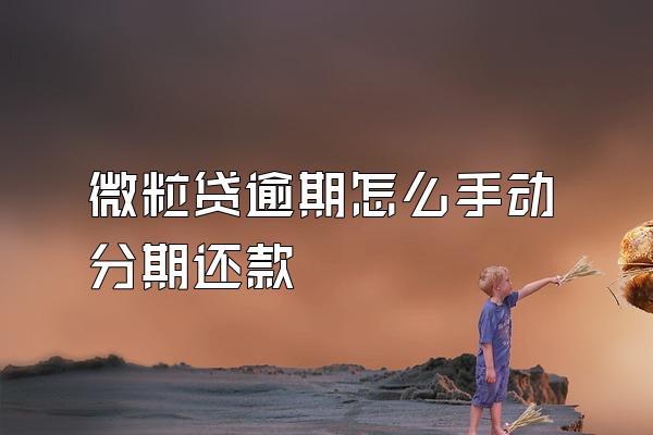 微粒贷逾期怎么手动分期还款