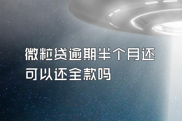 微粒贷逾期半个月还可以还全款吗