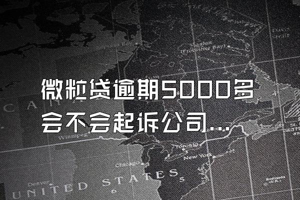 微粒贷逾期5000多会不会起诉公司呢