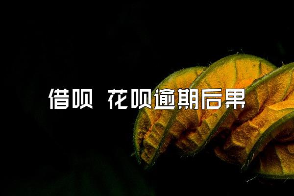 借呗 花呗逾期后果