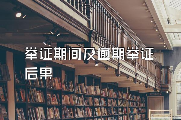 举证期间及逾期举证后果