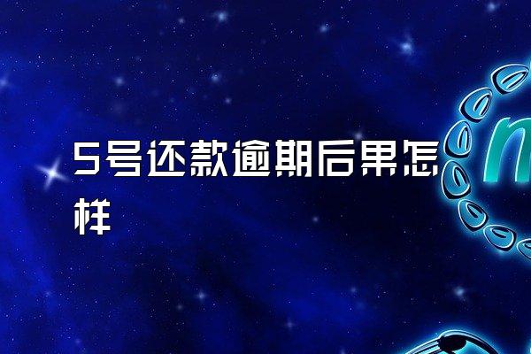 5号还款逾期后果怎样