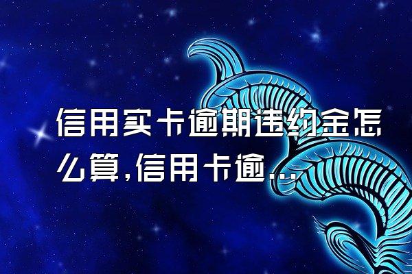 信用实卡逾期违约金怎么算,信用卡逾期利息怎么算