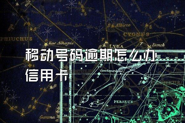 移动号码逾期怎么办信用卡