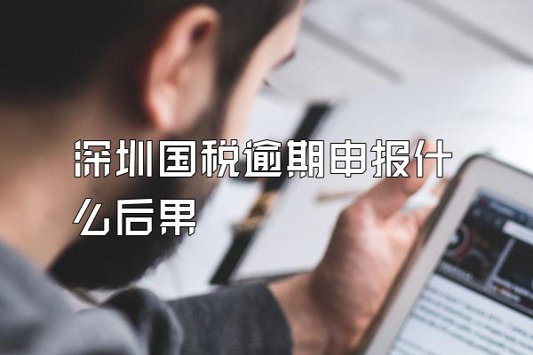 深圳国税逾期申报什么后果