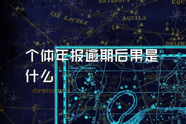 个体年报逾期后果是什么