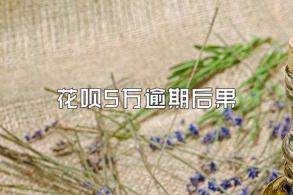 花呗5万逾期后果