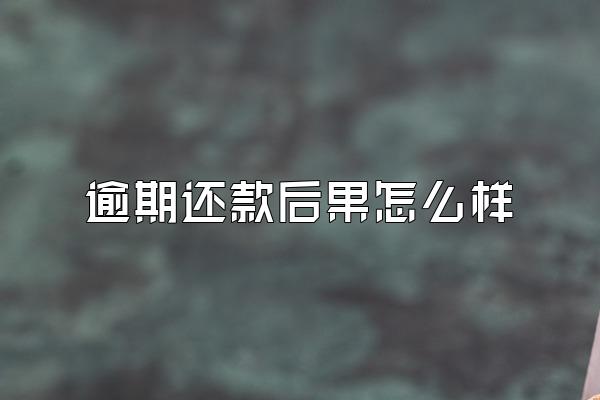 逾期还款后果怎么样