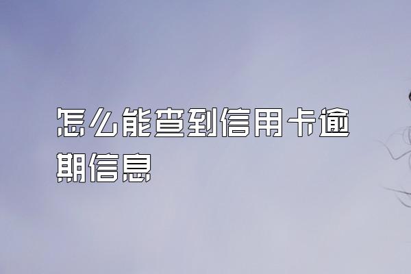 怎么能查到信用卡逾期信息