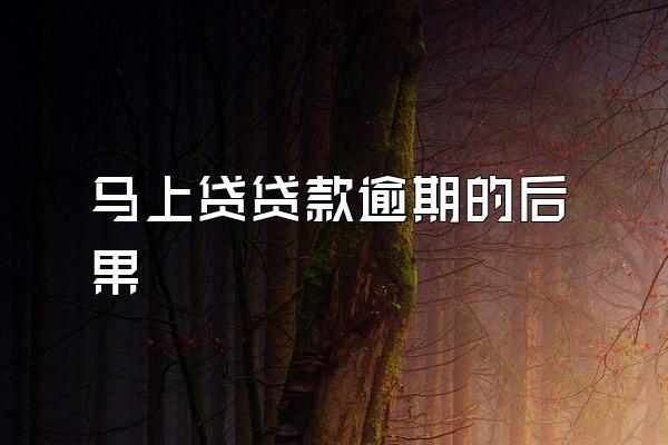 马上贷贷款逾期的后果