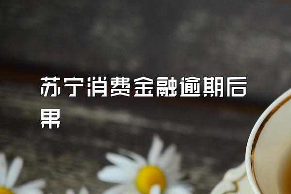 苏宁消费金融逾期后果