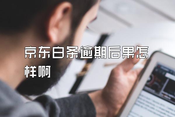 京东白条逾期后果怎样啊