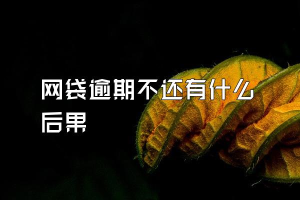 网袋逾期不还有什么后果