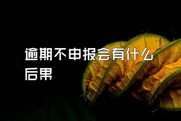 逾期不申报会有什么后果