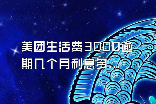 美团生活费3000逾期几个月利息多少