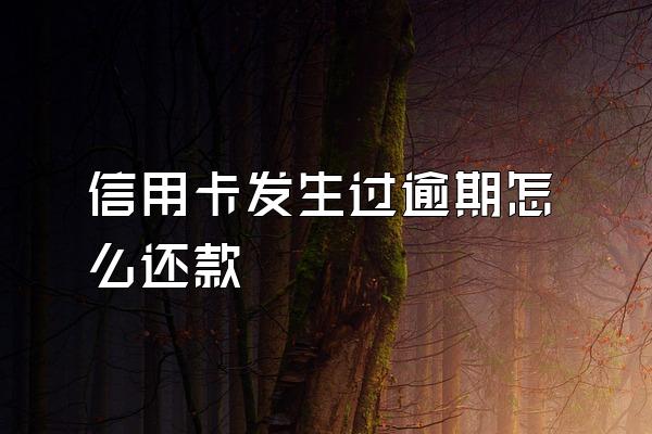 信用卡发生过逾期怎么还款