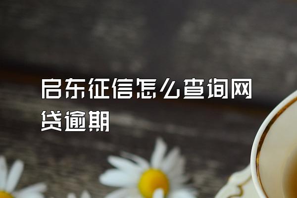 启东征信怎么查询网贷逾期