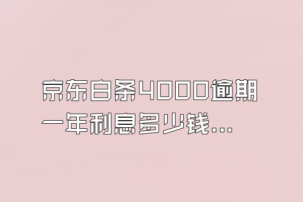 京东白条4000逾期一年利息多少钱啊