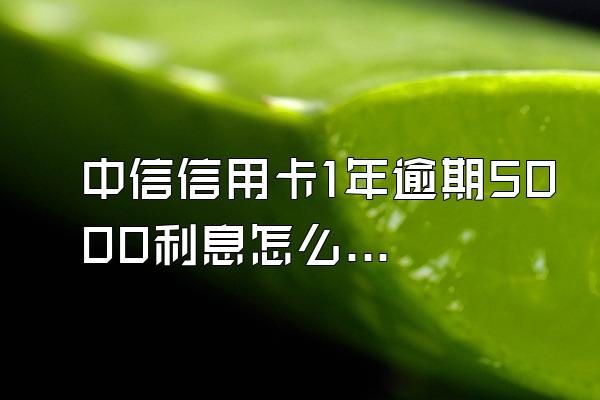 中信信用卡1年逾期5000利息怎么办