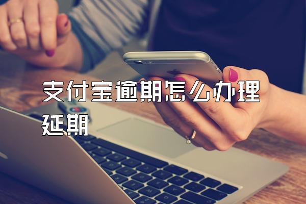 支付宝逾期怎么办理延期