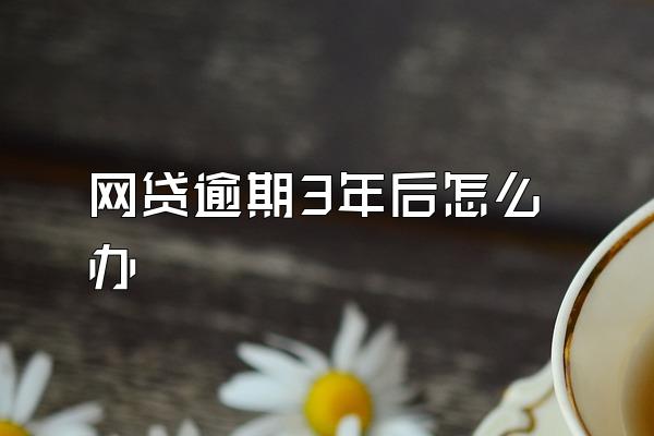 网贷逾期3年后怎么办