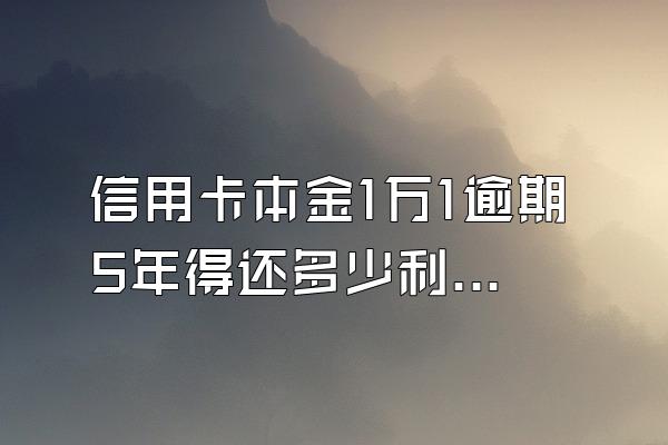 信用卡本金1万1逾期5年得还多少利息