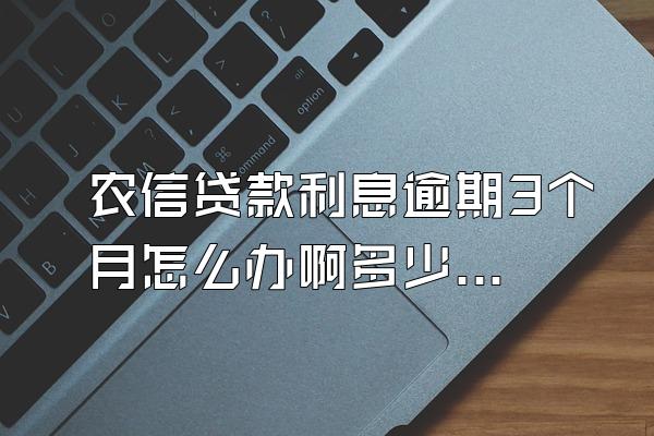 农信贷款利息逾期3个月怎么办啊多少钱