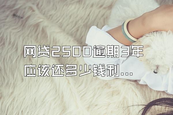 网贷2500逾期3年应该还多少钱利息