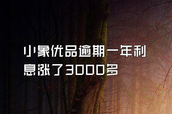 小象优品逾期一年利息涨了3000多