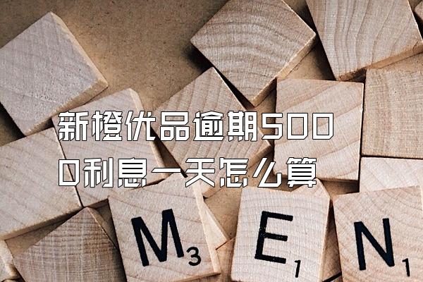 新橙优品逾期5000利息一天怎么算