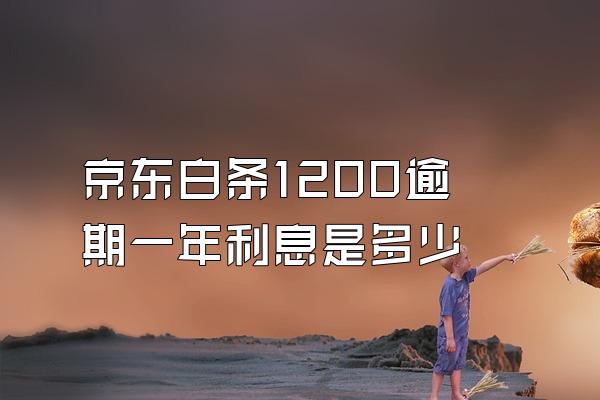 京东白条1200逾期一年利息是多少