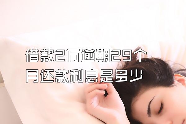 借款2万逾期29个月还款利息是多少