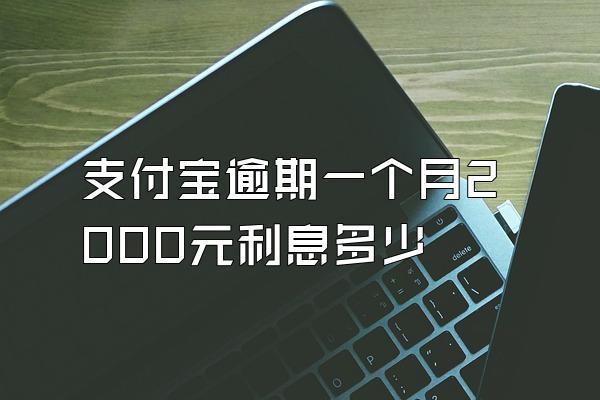 支付宝逾期一个月2000元利息多少