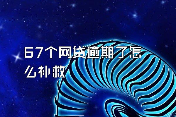 67个网贷逾期了怎么补救