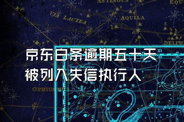 京东白条逾期五十天被列入失信执行人