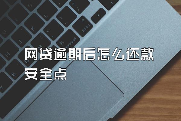 网贷逾期后怎么还款安全点