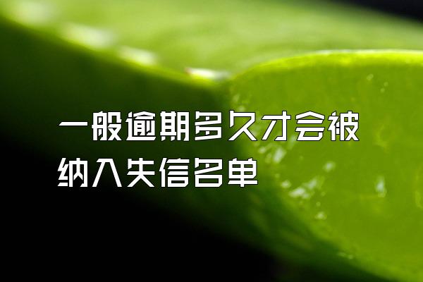 一般逾期多久才会被纳入失信名单