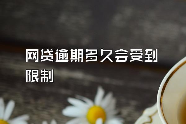 网贷逾期多久会受到限制