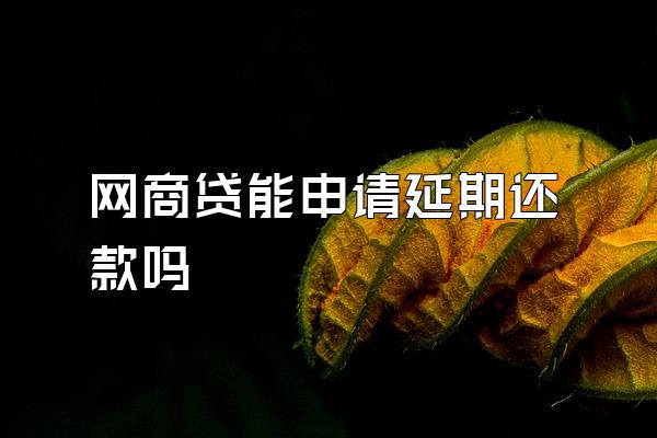 网商贷能申请延期还款吗