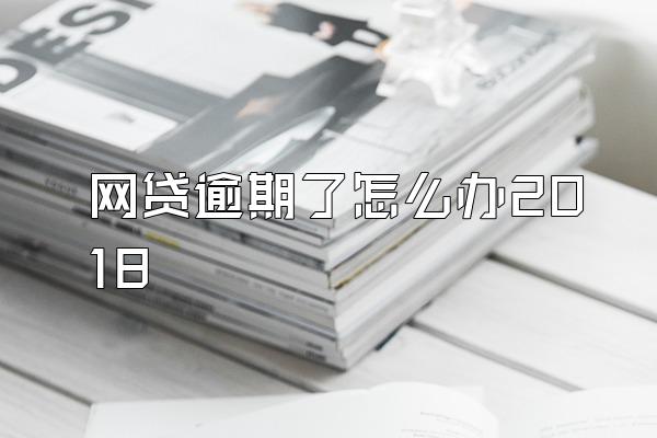 网贷逾期了怎么办2018