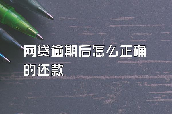 网贷逾期后怎么正确的还款