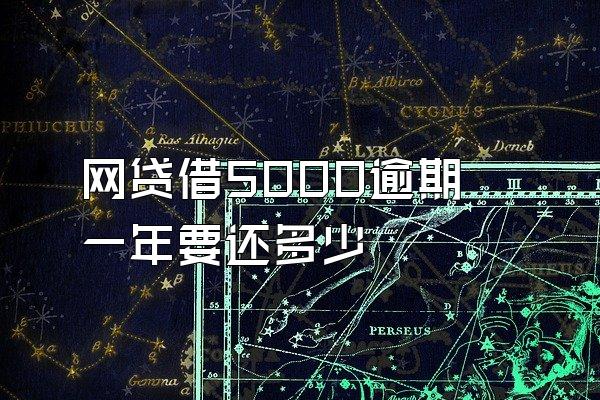 网贷借5000逾期一年要还多少