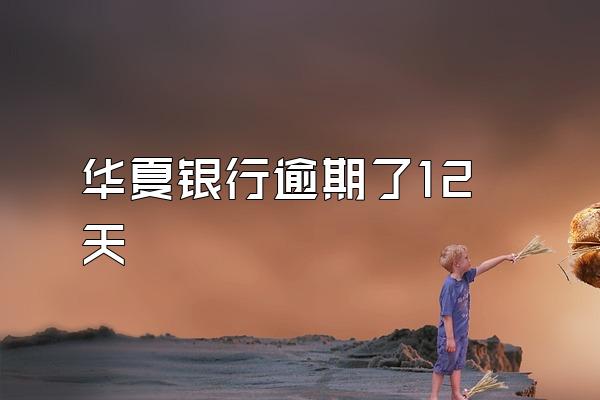 华夏银行逾期了12天