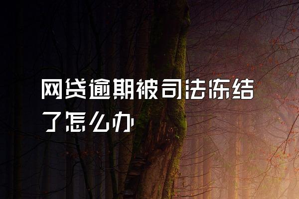 网贷逾期被司法冻结了怎么办