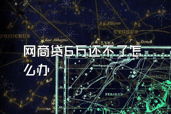 网商贷6万还不了怎么办