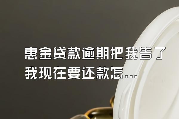 惠金贷款逾期把我告了我现在要还款怎么证明我还款了