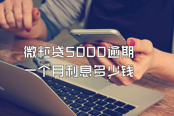 微粒贷5000逾期一个月利息多少钱